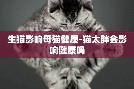 生猫影响母猫康健-猫太胖会影响康怎么训练柯基犬健吗